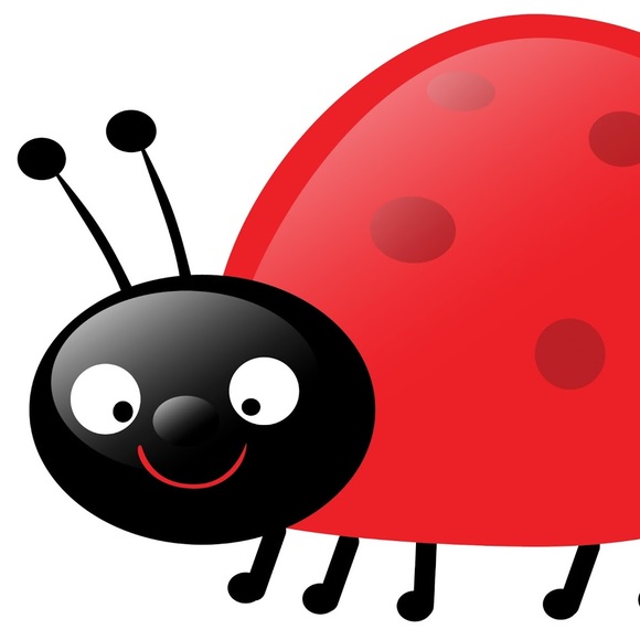 Meet your Posher, Gracie - Picture 1 of 1